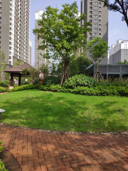 汇川大象城,瑞兴南路-邳州汇川大象城二手房,租房,房价-邳州安居客