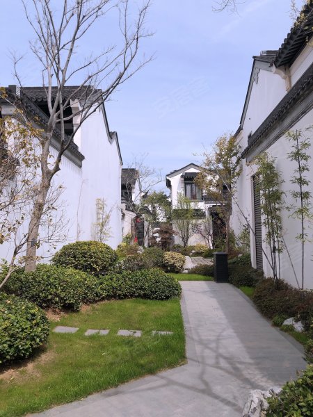 绿城紫薇公馆(别墅),金山南路-徐州绿城紫薇公馆(别墅)二手房,租房