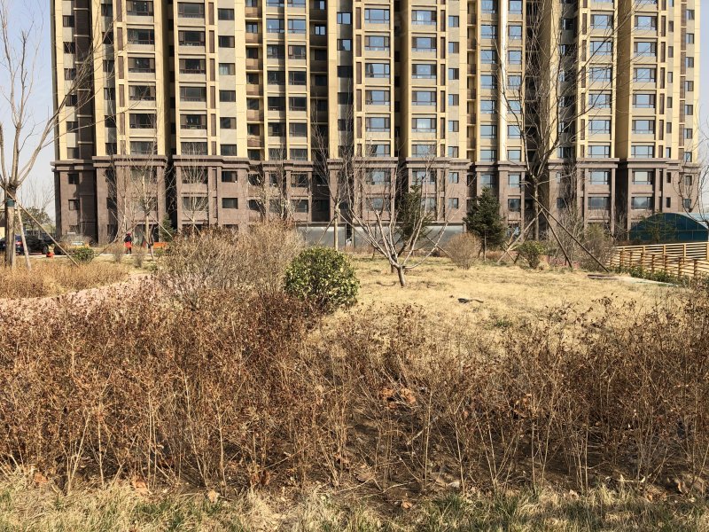 召里家园,召里西路1号-北京召里家园二手房,租房,房价-北京安居客