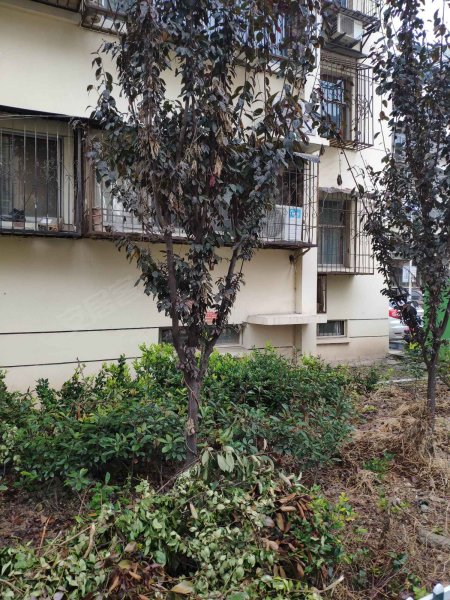 千禧龙花园,黄河北路166号-徐州千禧龙花园二手房,租房,房价-徐州安居