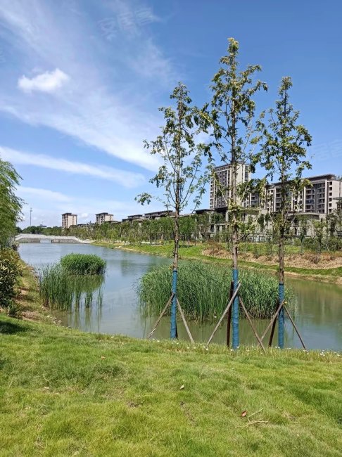 宁波房产网>宁波二手房>余姚二手房>低塘二手房>余姚漫悦湾(四期)>