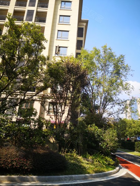 巨匠义圣名苑,恒力路286号-湛江巨匠义圣名苑二手房,租房,房价-湛江