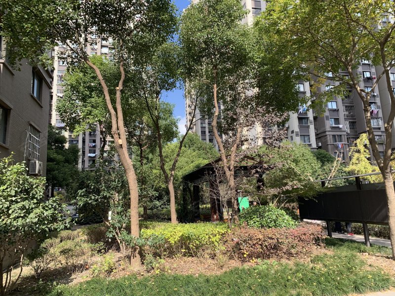 城林美苑(西区),三舒路62弄-上海城林美苑(西区)二手房,租房,房价