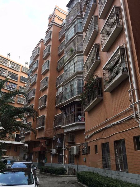 天福园,九龙大道-漳州天福园二手房,租房,房价-漳州安居客