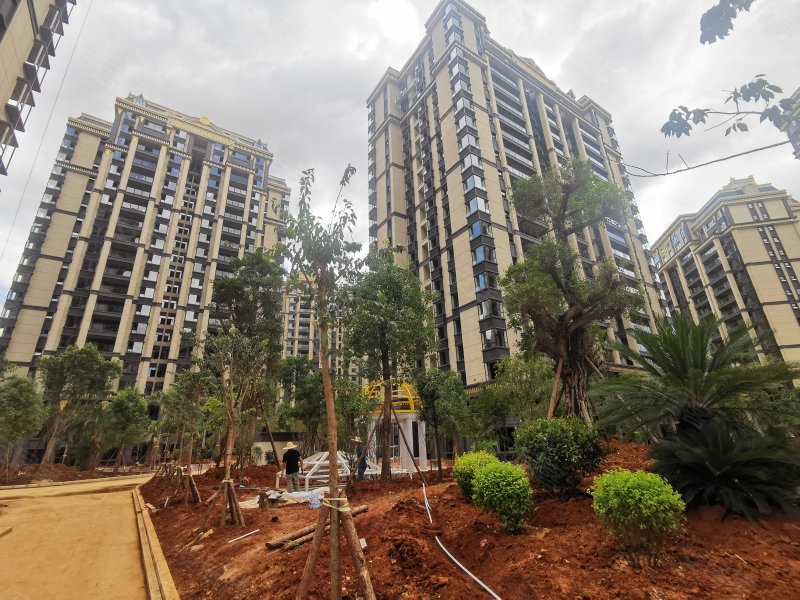 西湖1901,北京路-红河西湖1901二手房,租房,房价-红河安居客