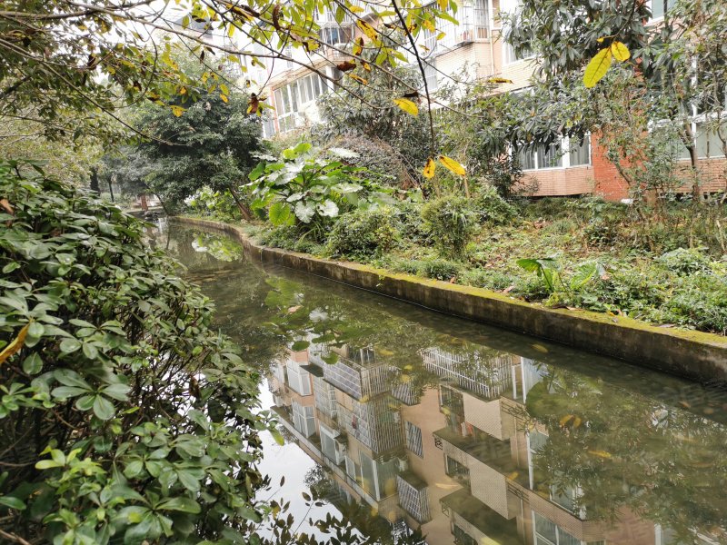 大庆蜀苑,春江南路98号-成都大庆蜀苑二手房,租房,房价-成都安居客