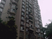 近地铁采光视野都不错小区房环境优美,中央美苑二手房,90万,3室2厅,2