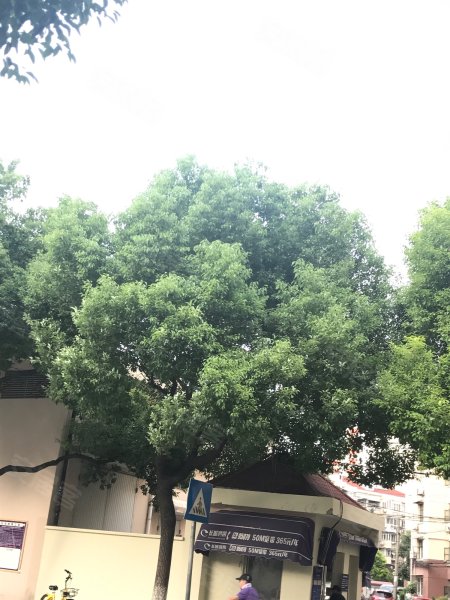 航华三村三街坊 