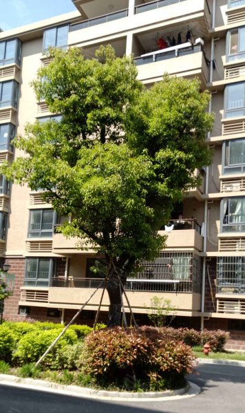 嘉城绿都铃兰苑