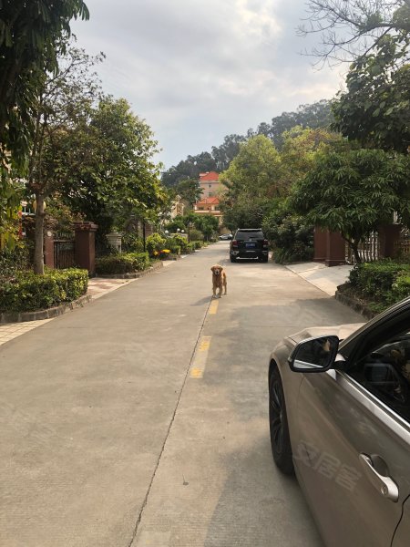 宝湖山庄,黄江大道-东莞宝湖山庄二手房,租房,房价-东莞安居客