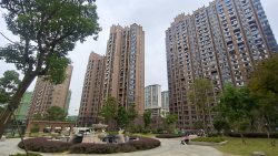 新庐国际