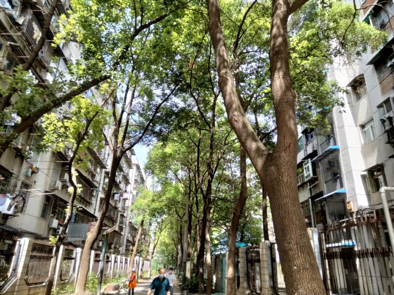 万松园路128号小区,万松园路-武汉万松园路128号小区二手房,租房,房价