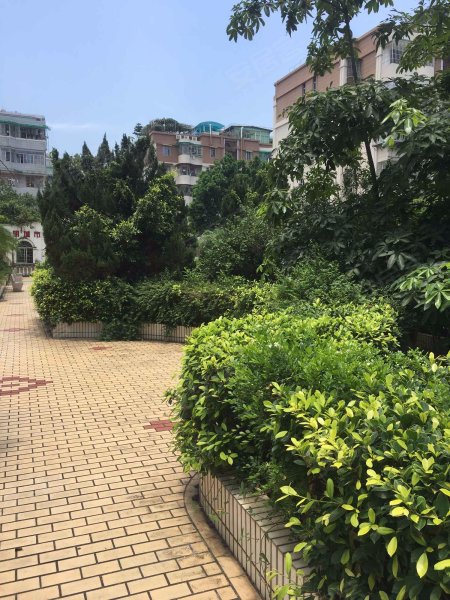 万景花园,宜宾路62-84号-厦门万景花园二手房,租房,房价-厦门安居客