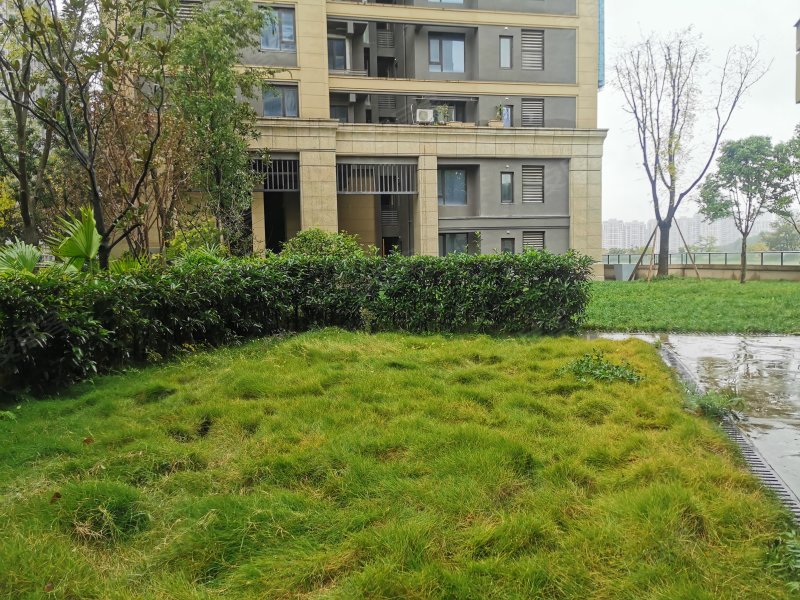 中交中央公园悦颂