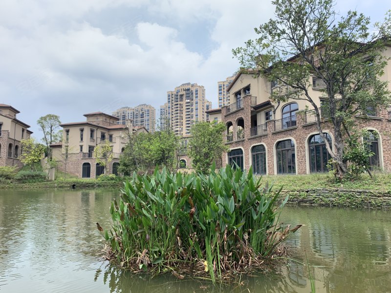 鼎峰源著(别墅)