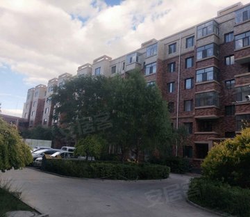 金澜湾 电梯房 正南朝向 正规商品房 高楼层采光充足 小区新