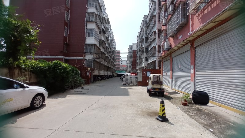 紫藤花园