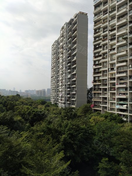 水榭花都,红荔西路8004号-深圳水榭花都二手房,租房,房价-深圳安居客