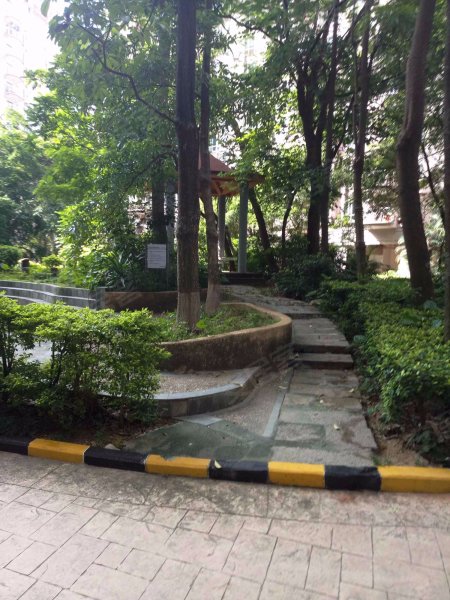 星海名城(二期),前海路3103号-深圳星海名城(二期)二手房,租房,房价