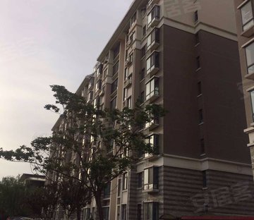 上海花园 (带车位)南北通透 电梯洋房