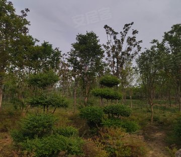 后宰门西村88号小区