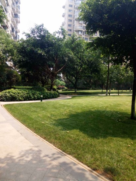 保利丁香郡,丁香路259号-成都保利丁香郡二手房,租房,房价-成都安居客