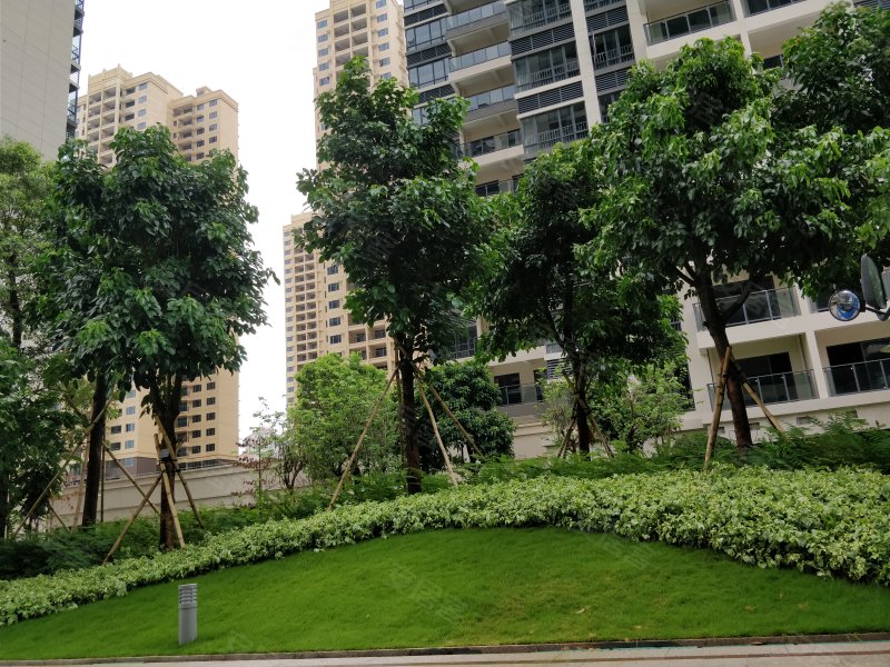 红树景园,升平四路-惠州红树景园二手房,租房,房价-惠州安居客