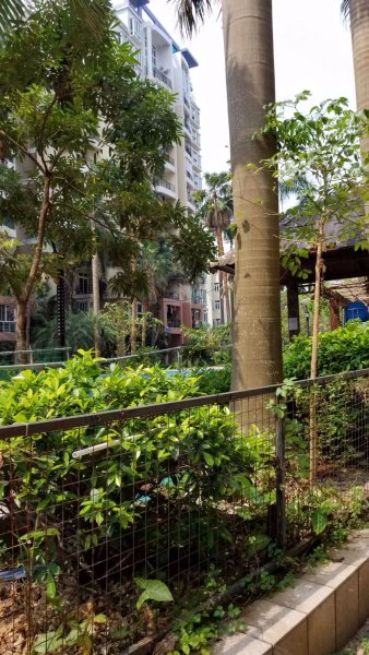 阳光地带,沿河东路337号-珠海阳光地带二手房,租房,房价-珠海安居客