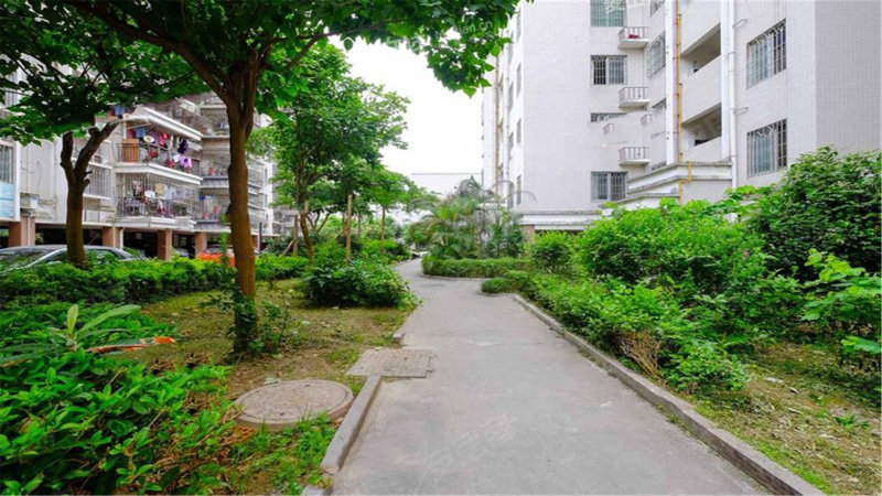 怡园小区,溪里路60号-福州怡园小区二手房,租房,房价-福州安居客