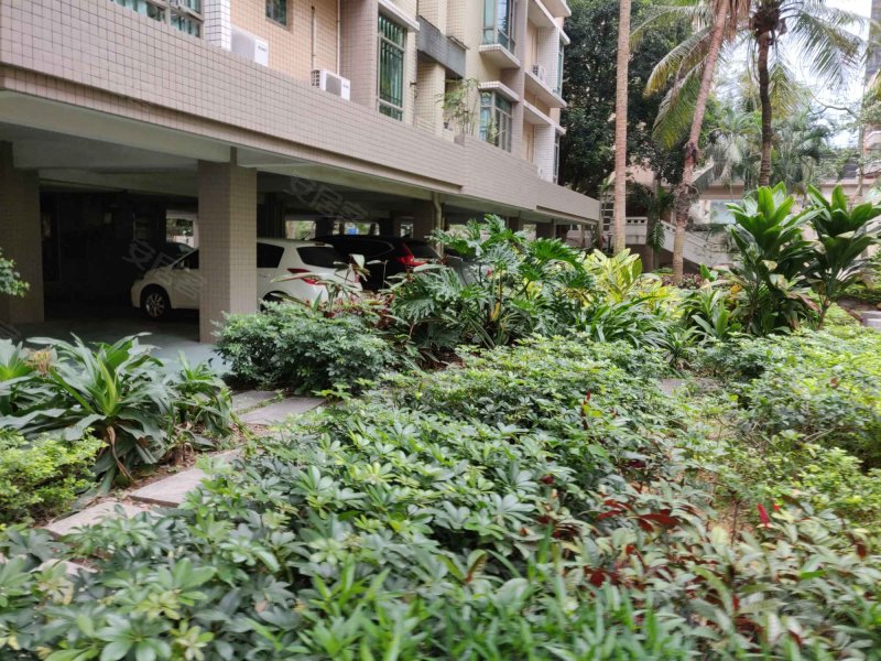 盛景园,起湾南道21号-中山盛景园二手房,租房,房价-中山安居客