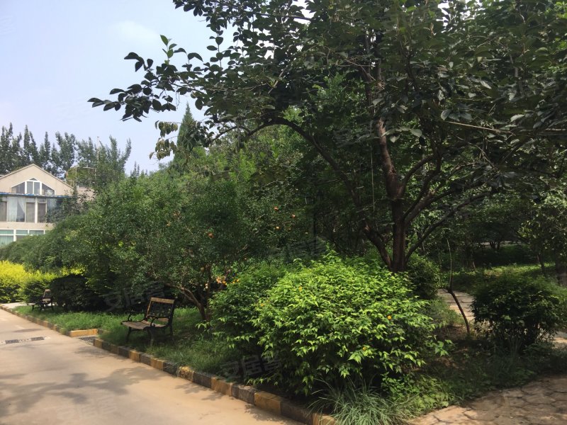 西钓鱼台庄园,西八里庄路-衡水西钓鱼台庄园二手房,租房,房价-衡水