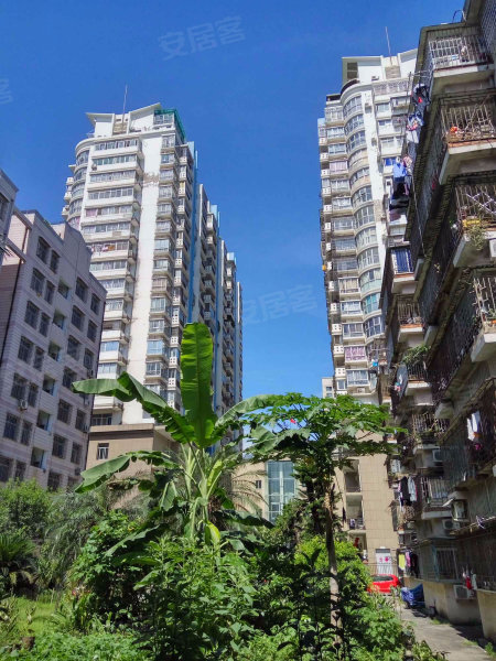 东方华庭,连江中路181号-福州东方华庭二手房,租房,房价-福州安居客
