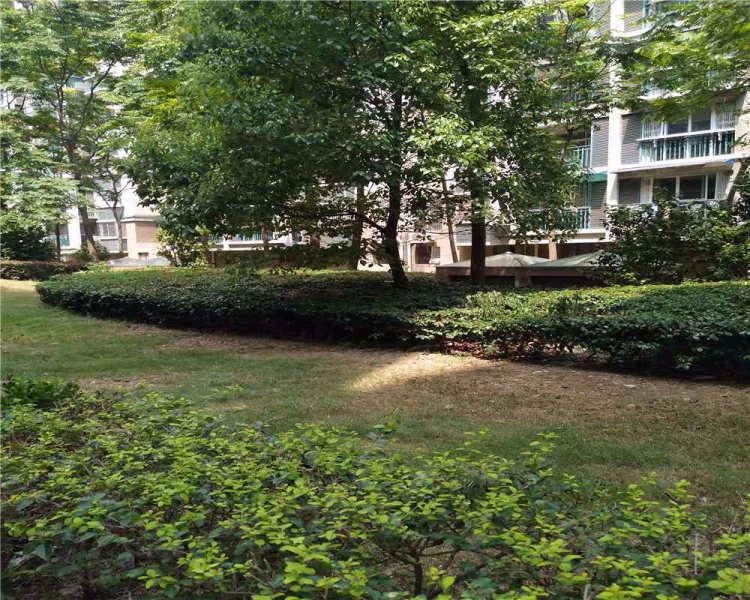 东城水岸,春园路446号-宁波东城水岸二手房,租房,房价-宁波安居客