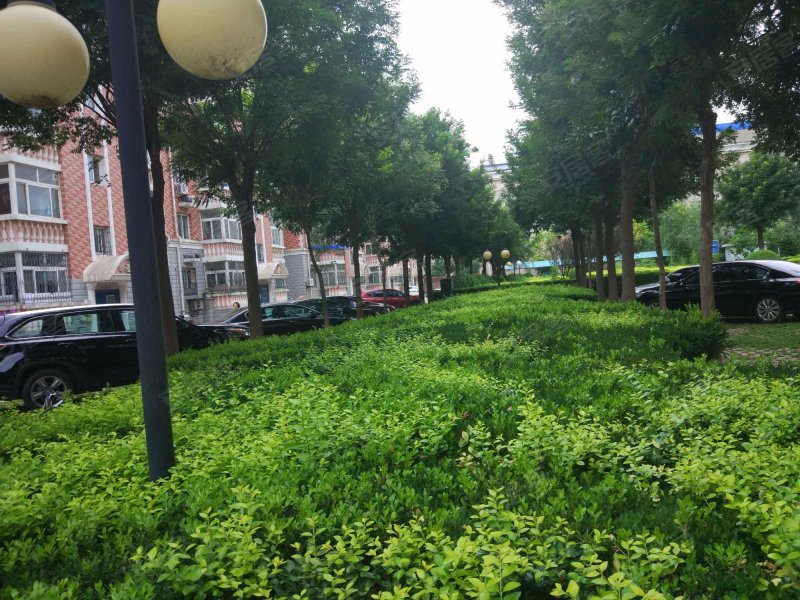 翠屏北里(西区)