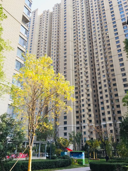 古都天玺,柳林街37号-洛阳古都天玺二手房,租房,房价-洛阳安居客