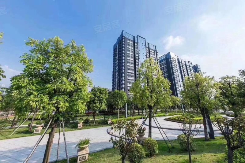 塘头村一坊,华夏路-深圳塘头村一坊二手房,租房,房价-深圳安居客