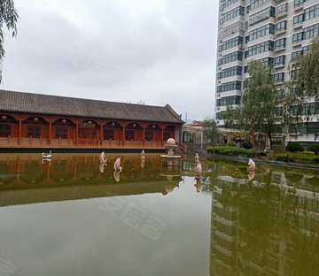 金泰润园