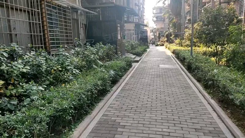 厦门图强路小区图片