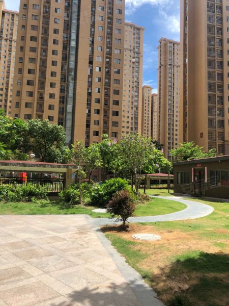 新港城第十四社区,油杏街666号-漳州新港城第十四社区二手房,租房