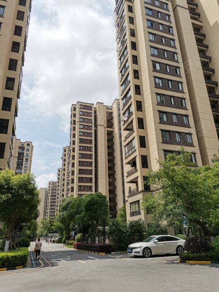 路劲上海派Ⅱ盛世景庭