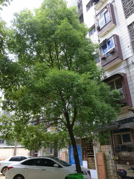 洪都新村,顺外路19号-南昌洪都新村二手房,租房,房价-南昌安居客