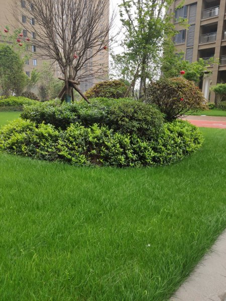 瑞湖坐标城,芙蓉大道-荆州瑞湖坐标城二手房,租房,房价-荆州安居客