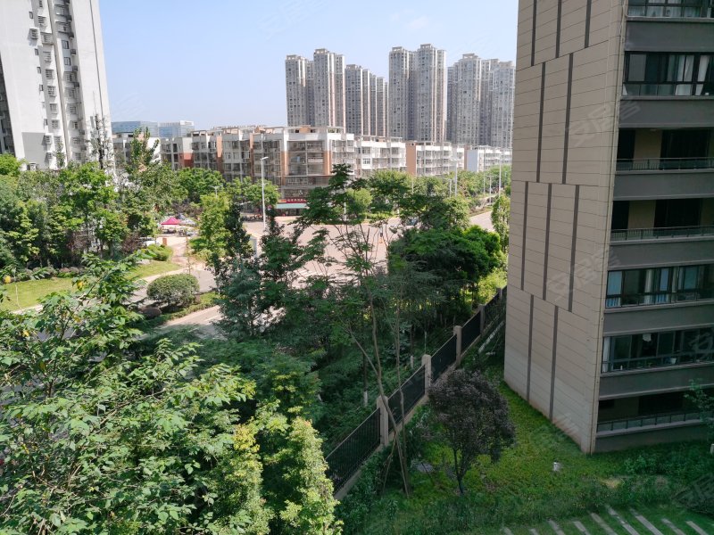 圣桦名城,希望大道-资阳圣桦名城二手房,租房,房价-资阳安居客