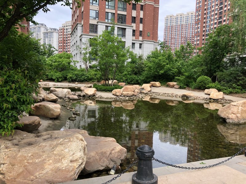 辰能溪树庭院(南区),哈尔滨大街760号-哈尔滨辰能溪树庭院(南区)二手