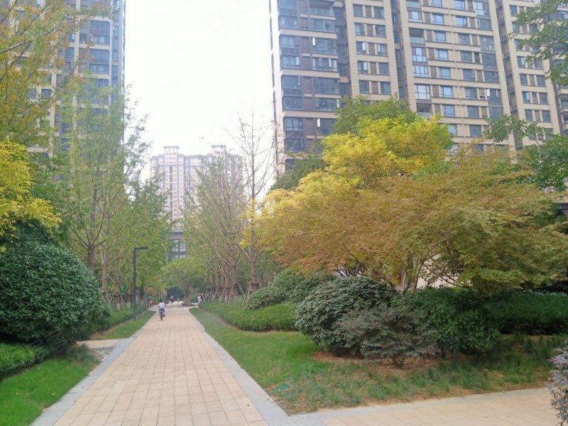 华润置地凯旋门,中州大道,近陇海路-郑州华润置地凯旋门二手房,租房