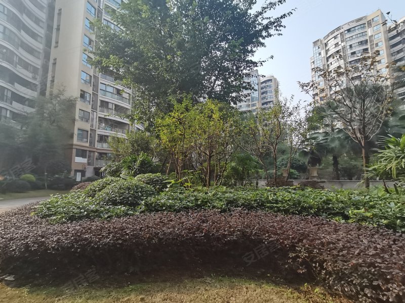 龙源府邸,狮子岩路-宜宾龙源府邸二手房,租房,房价-宜宾安居客