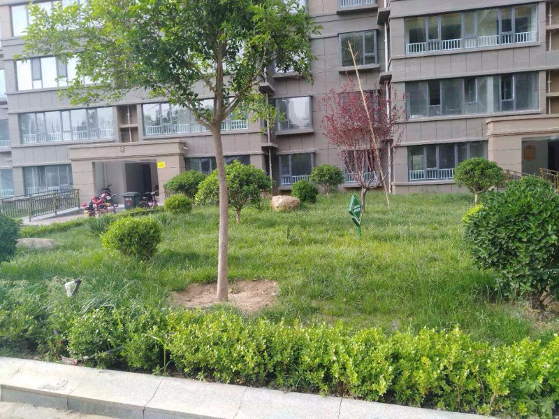 金鼎国际(兰陵)