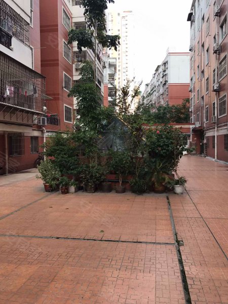 江滨花园兰园,厦门路24号-漳州江滨花园兰园二手房,租房,房价-漳州