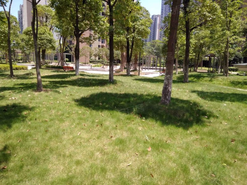 珠江花城扶水岸