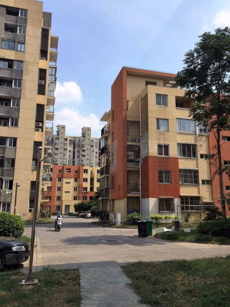 海尚菊苑(北区) 